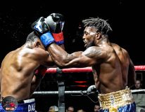 CountryBox11-1370