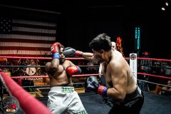 CountryBox11-209