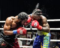 Country Box 18 Fight Night-336