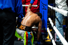 20260106_CountryBox_MVeldmanPhoto-112