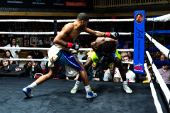 20260106_CountryBox_MVeldmanPhoto-122