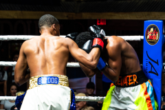 20260106_CountryBox_MVeldmanPhoto-123