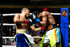 20260106_CountryBox_MVeldmanPhoto-124