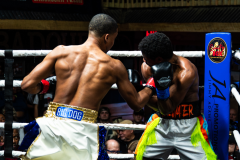 20260106_CountryBox_MVeldmanPhoto-125