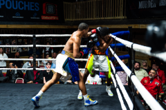 20260106_CountryBox_MVeldmanPhoto-127