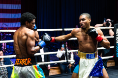 20260106_CountryBox_MVeldmanPhoto-132