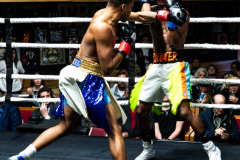 20260106_CountryBox_MVeldmanPhoto-133