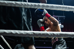 20260106_CountryBox_MVeldmanPhoto-182