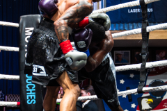 20260106_CountryBox_MVeldmanPhoto-218