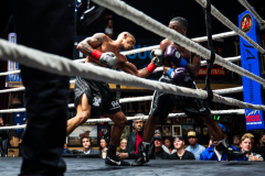 20260106_CountryBox_MVeldmanPhoto-219