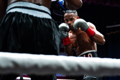 20260106_CountryBox_MVeldmanPhoto-225