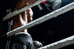 20260106_CountryBox_MVeldmanPhoto-229