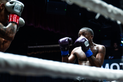 20260106_CountryBox_MVeldmanPhoto-230