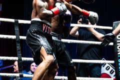 20260106_CountryBox_MVeldmanPhoto-238