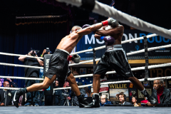 20260106_CountryBox_MVeldmanPhoto-246