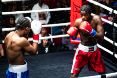 20260106_CountryBox_MVeldmanPhoto-283