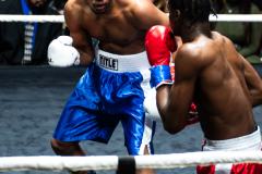 20260106_CountryBox_MVeldmanPhoto-285