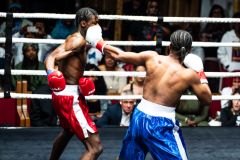 20260106_CountryBox_MVeldmanPhoto-287