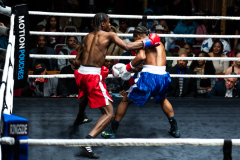 20260106_CountryBox_MVeldmanPhoto-288