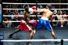 20260106_CountryBox_MVeldmanPhoto-289