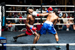 20260106_CountryBox_MVeldmanPhoto-290