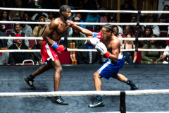 20260106_CountryBox_MVeldmanPhoto-294