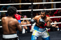 20260106_CountryBox_MVeldmanPhoto-338