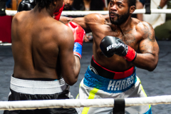 20260106_CountryBox_MVeldmanPhoto-342