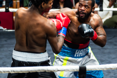 20260106_CountryBox_MVeldmanPhoto-343