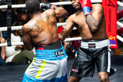 20260106_CountryBox_MVeldmanPhoto-344