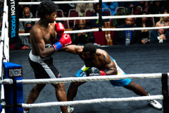 20260106_CountryBox_MVeldmanPhoto-345