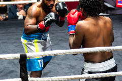 20260106_CountryBox_MVeldmanPhoto-346