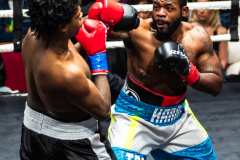 20260106_CountryBox_MVeldmanPhoto-347