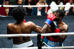 20260106_CountryBox_MVeldmanPhoto-353