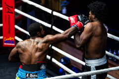 20260106_CountryBox_MVeldmanPhoto-355