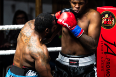 20260106_CountryBox_MVeldmanPhoto-358