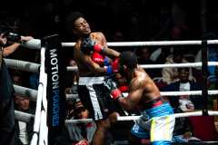 20260106_CountryBox_MVeldmanPhoto-373