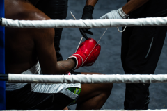 20260106_CountryBox_MVeldmanPhoto-389