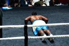 20260106_CountryBox_MVeldmanPhoto-390