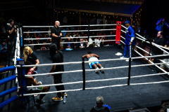 20260106_CountryBox_MVeldmanPhoto-391