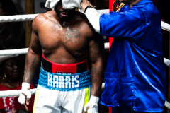 20260106_CountryBox_MVeldmanPhoto-394