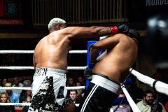 20260106_CountryBox_MVeldmanPhoto-459