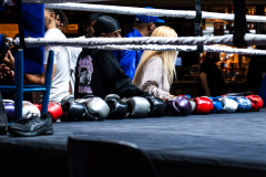 20260106_CountryBox_MVeldmanPhoto-5