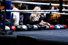 20260106_CountryBox_MVeldmanPhoto-6