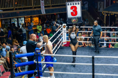 3N0A8233-Enhanced-NR