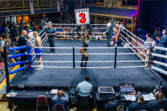 3N0A8241-Enhanced-NR